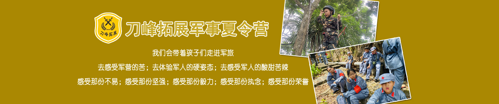 营地动态 营地动态